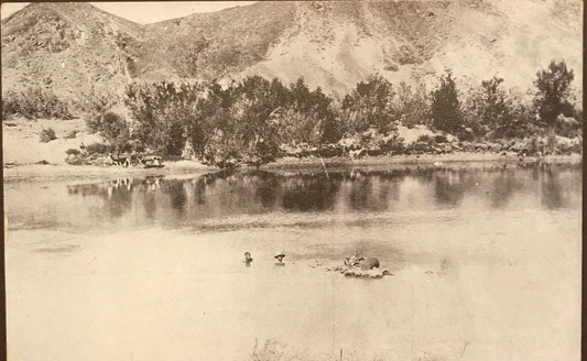PC0008 GSWA original Postcard - Fishriver Canyon / DSWA originale Postkarte - Fischfluss - Franz Spenker