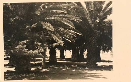 PC0016b - SWA postcard - Swakopmund 1958 /  SWA Postkarte -  Swakopmund 1958