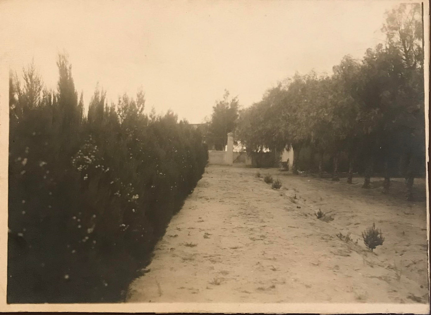 PC0022 - GSWA - mounted photo - farm in Swakop river / DSWA - montiertes Foto - Farm im Swakopfluss