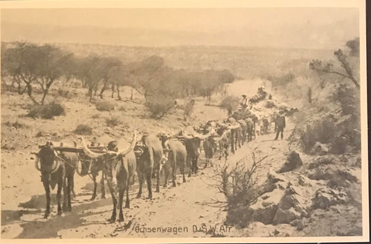PC 0043 - GSWA postcard - travelling Ox wagon / DSWA Postkarte - reisender Ochsenwagen - Peter's Antiques