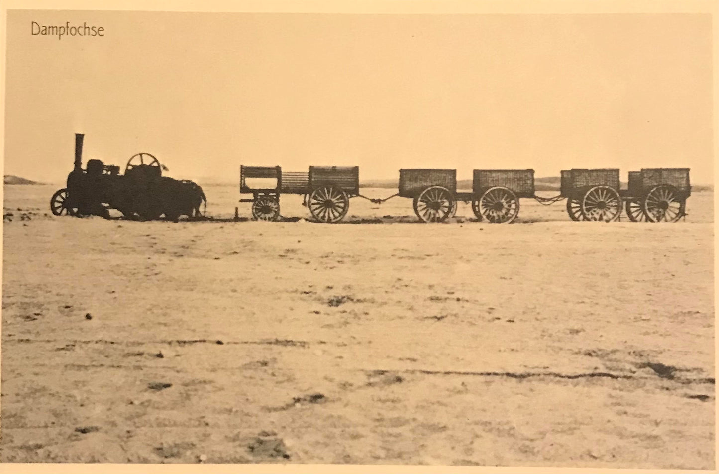 PC 0053 GSWA postcard - Martin Luther steam engine at Swakopmund 1910 / DSWA Postkarte - Martin Luther Dampfochse in Swakopmund 1910 - Nachdruck: Peter's Antiques 