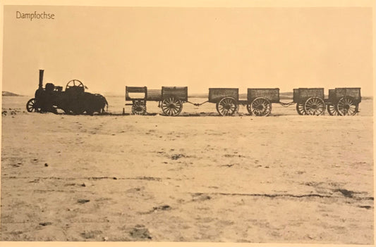 PC 0053 GSWA postcard - Martin Luther steam engine at Swakopmund 1910 / DSWA Postkarte - Martin Luther Dampfochse in Swakopmund 1910 - Nachdruck: Peter's Antiques 