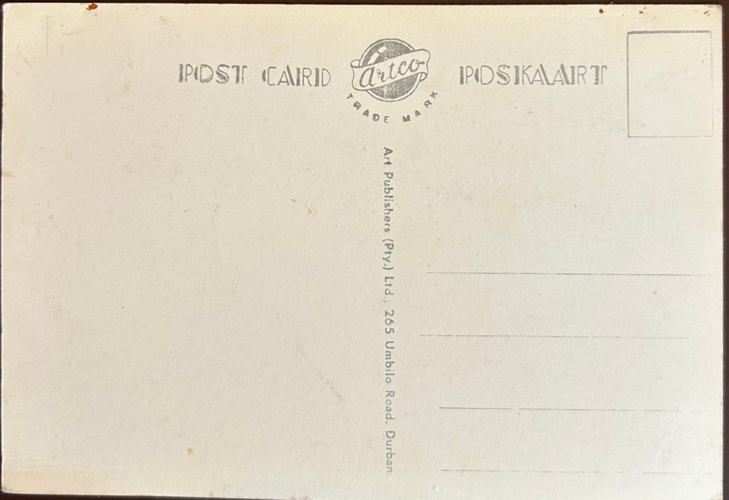 PC 0078 - SWA - Flamingo on Strand at Swakopmund / SWA - Flamingo am Swakopmunder Strand