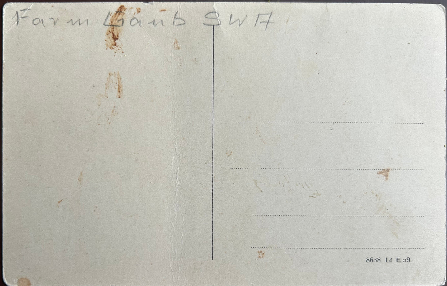 PC 0090 - SWA - Farm Gaub - Palmenplantage / SWA - Farm Gaub - palm tree plantation