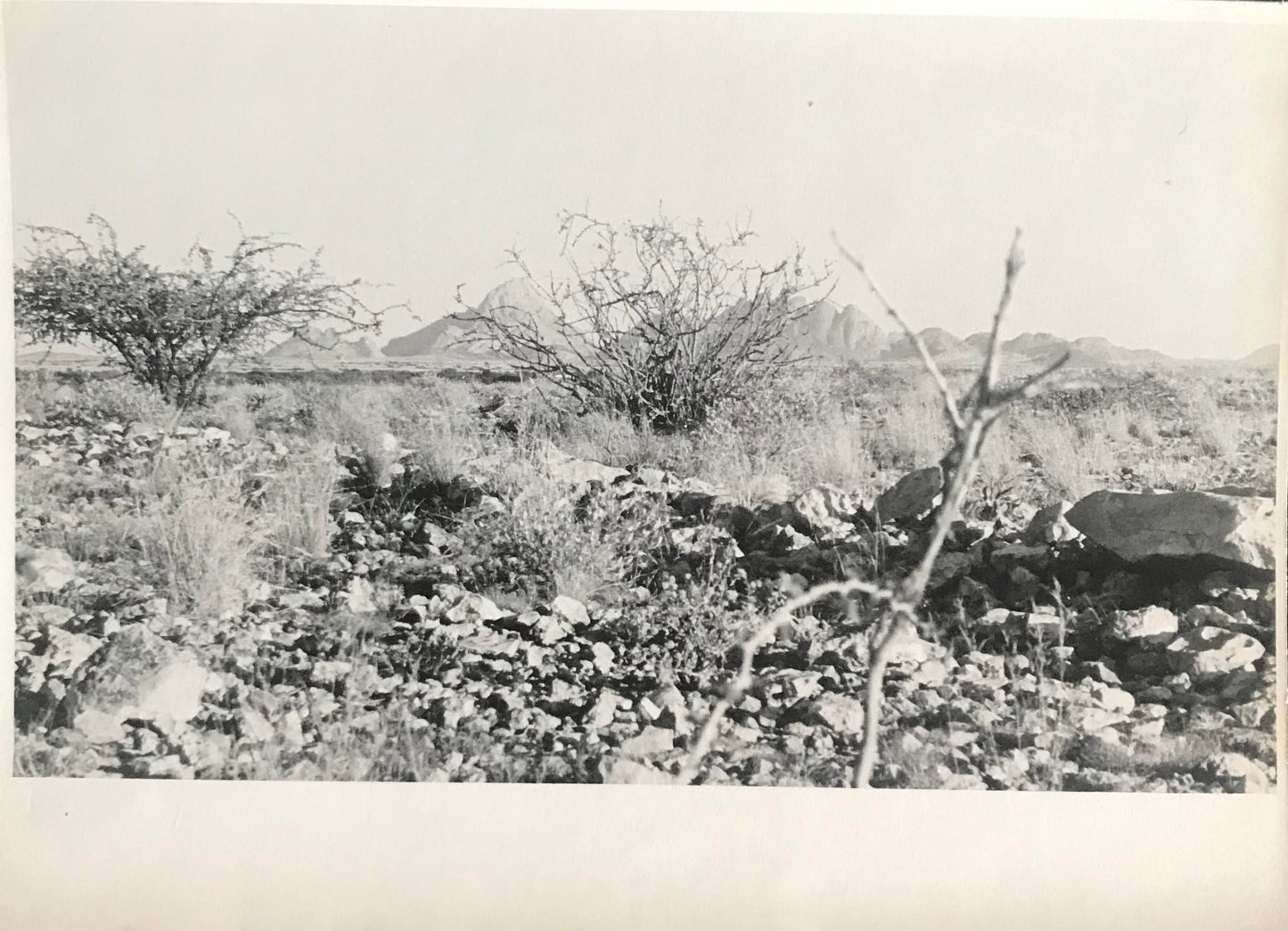 PC0128 - SWA - Foto -Grosse Spitzkoppe / SWA - Photo - Big Spitzkoppie