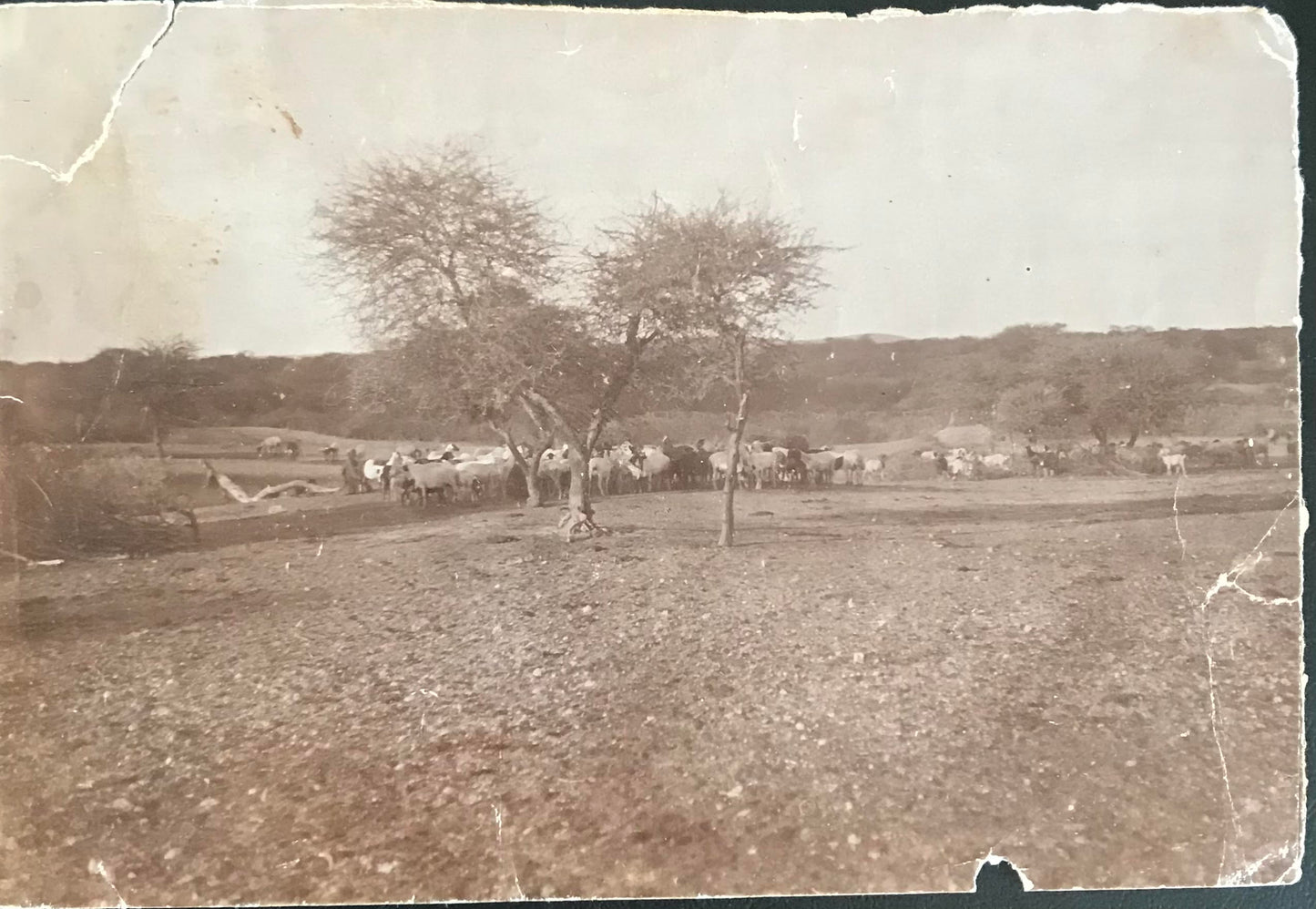 PC0142 - DSWA - Farmleben - 1905 / DSWA - Farm life - 1905