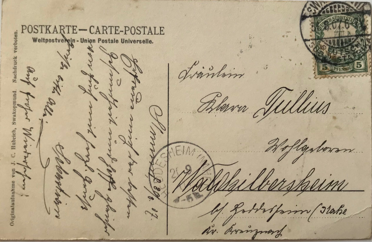 PC0164 DSWA Postkarte - Kuh am Kiriis-Fluss / GSWA Postcard - Cow at the Kiriis river