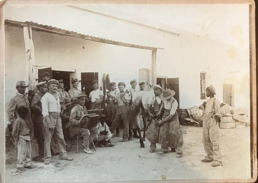 PC D013 - DSWA Original Foto - Schutztruppler und Kollegen, Outjo 1907 / GSWA original photo - Schutztruppen-soldiers and colleques