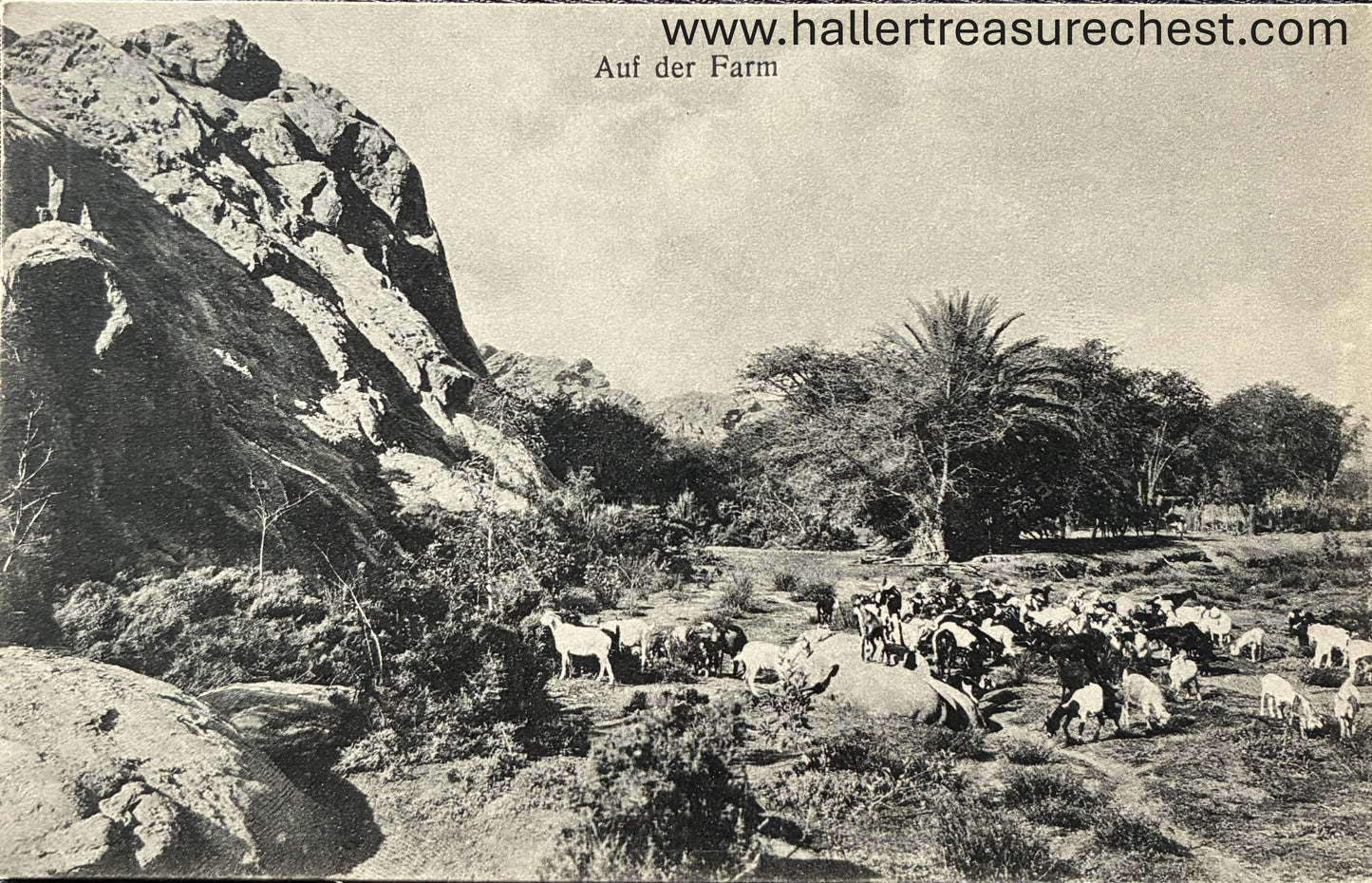 PC Nord-Süd 2.2. DSWA - Auf der Farm / GSWA - On the farm