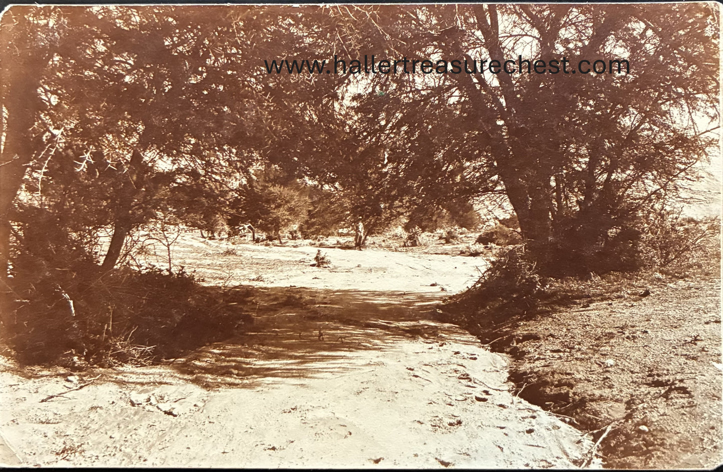 PC Nord-Süd 28.2. DSWA - Trockenfluss bei Arredareigas im Auasgebirge / GSWA - river near Arredareigas