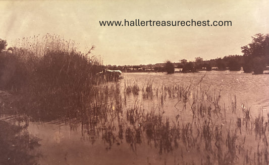 PC Nord-Süd 3.5. DSWA Foto vom Fischfluss / GSWA photo of the Fish River