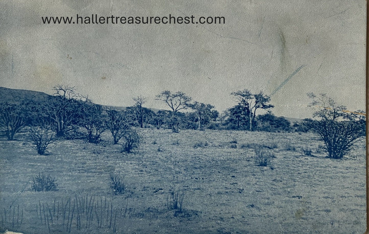 PC Nord - Süd 6.7. DSWA - Partie aus dem Kuibis-Revier / GSWA - party from the Kuibis River