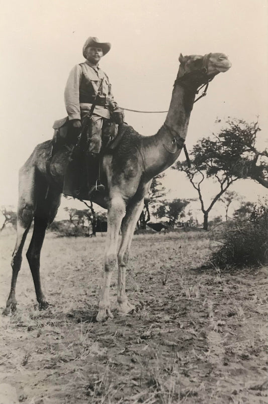 PC STR 1.6. GSWA photo of camels rider of the Schutztruppe / DSWA Foto eines Kamelreiter der Schutztruppe