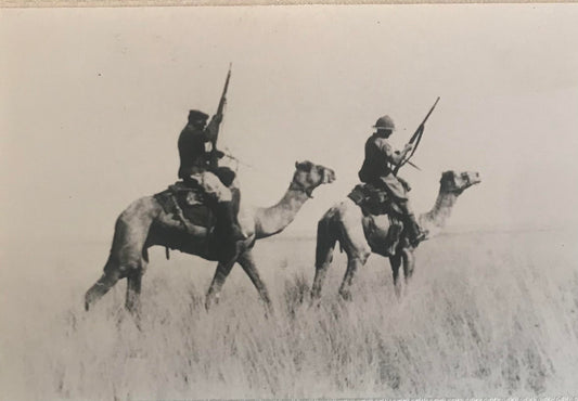 PC STR 1.8. GSWA photo of camels riders of the Schutztruppe - Arahoab in the Kalahari  / DSWA Foto der Kamelreiter der Schutztruppe