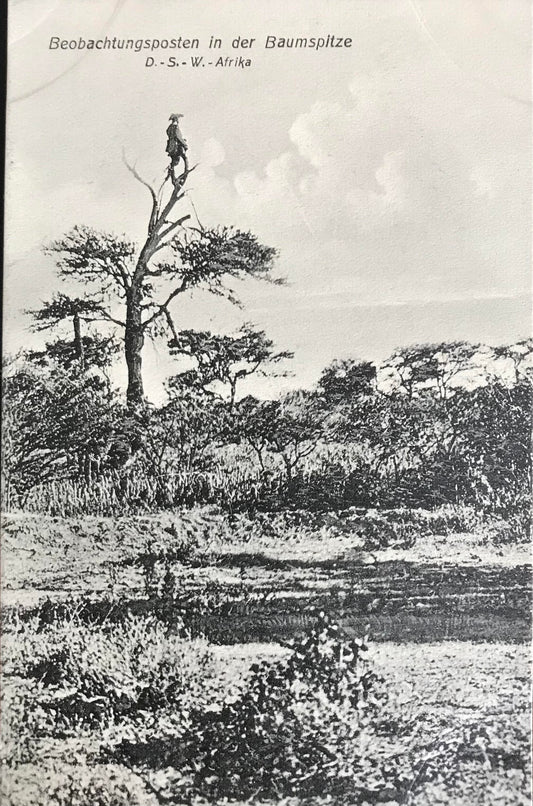 PC STR 13.7. DSWA Postkarte - Schutztruppen Beobachtungsposten in der Baumspitze / DSWA postcard - Schutztruppen observation post in the tree top