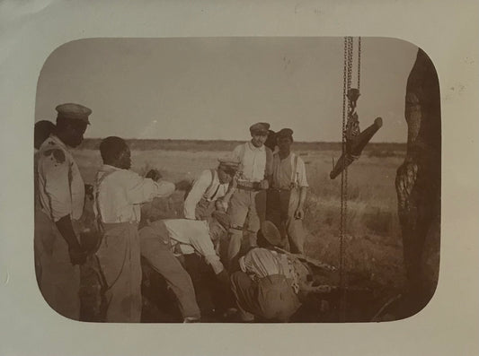 PC STR 14.6. DSWA Postkarte - Jagd und Schlachten / GSWA Postcard - Hunting and slaughtering game