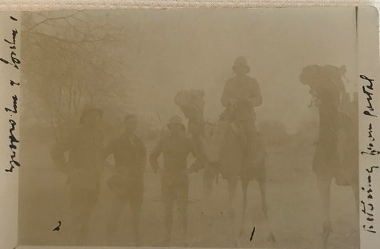 PC STR 2.3. GSWA postcard of camels riders of the Schutztruppe / DSWA Postkarte der Kamelreiter der Schutztruppe