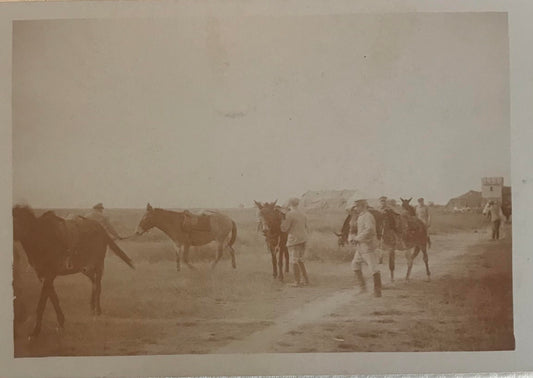 PC STR 2.4. GSWA postcard of Mule riders of the Schutztruppe / DSWA Postkarte der Maultierreiter der Schutztruppe 