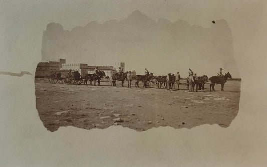 PC STR 20.3. DSWA Postkarte - Provianttransport mit Maultieren - bei Namatoni / DSWA postcard - Provisions transport with mules - near Namatoni