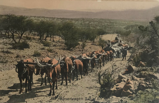 PC STR 3.6. Postkarte - Ochsenwagen in DSWA / Postcard - Oxen wagon in GSWA