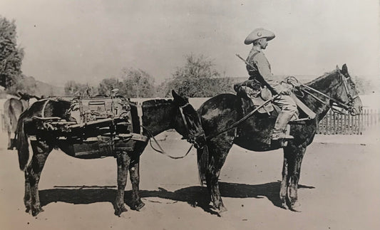 PC STR 3.7. DSWA Foto eines Schutztruppenreiter mit Maultier / DSWA Photo of a protection trooper with a mule
