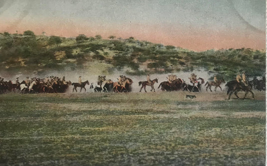 PC STR 3.6. DSWA Postkarte - Schutztruppen Abteilung im Aufmarsch / GSWA postcard - Schutztruppen Abteilung marching on the enemy