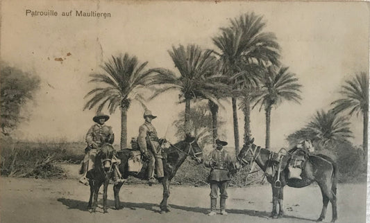 PC STR 5.1. DSWA Postkarte - Schutztruppen Patrouile auf Maultieren - mit Soldatenbriefstempel / GSWA postcard - GSWA troops on mules