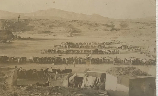 PC STR 5.3. DSWA Postkarte - Proviantpatrouile - Karasberge /  DSWA Provisions Patrol - Karasberge