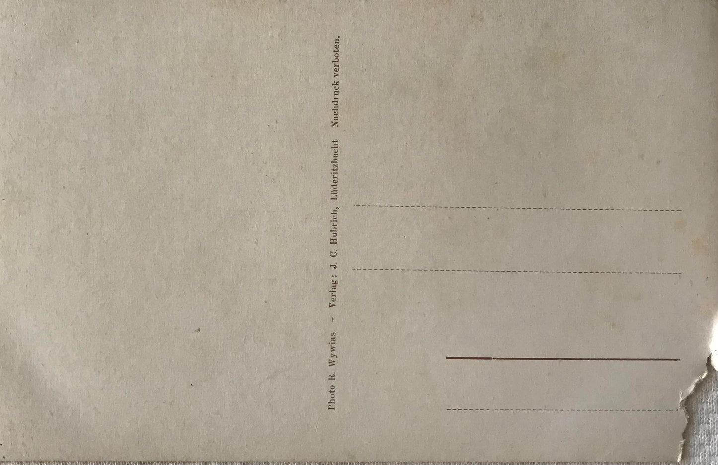 PC Tribes 1.5. DSWA Postkarte - Rehoboth mit Kirche und Rindern / GSWA postcard - Rehoboth with church and cattle