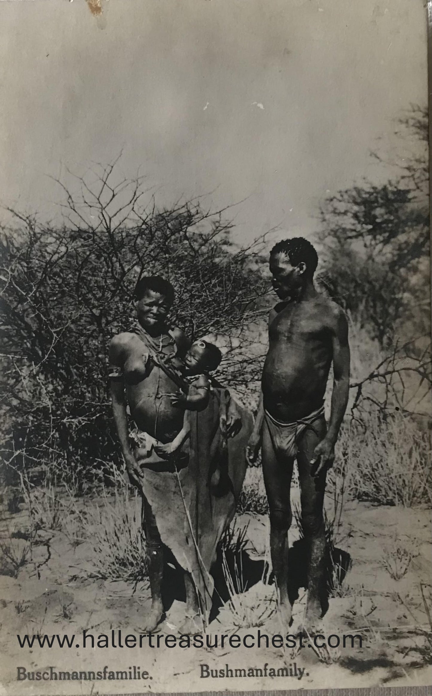 PC Tribes 14.6. DSWA Postkarte - Buschmann Familie / GSWA post card - Bushmen familie