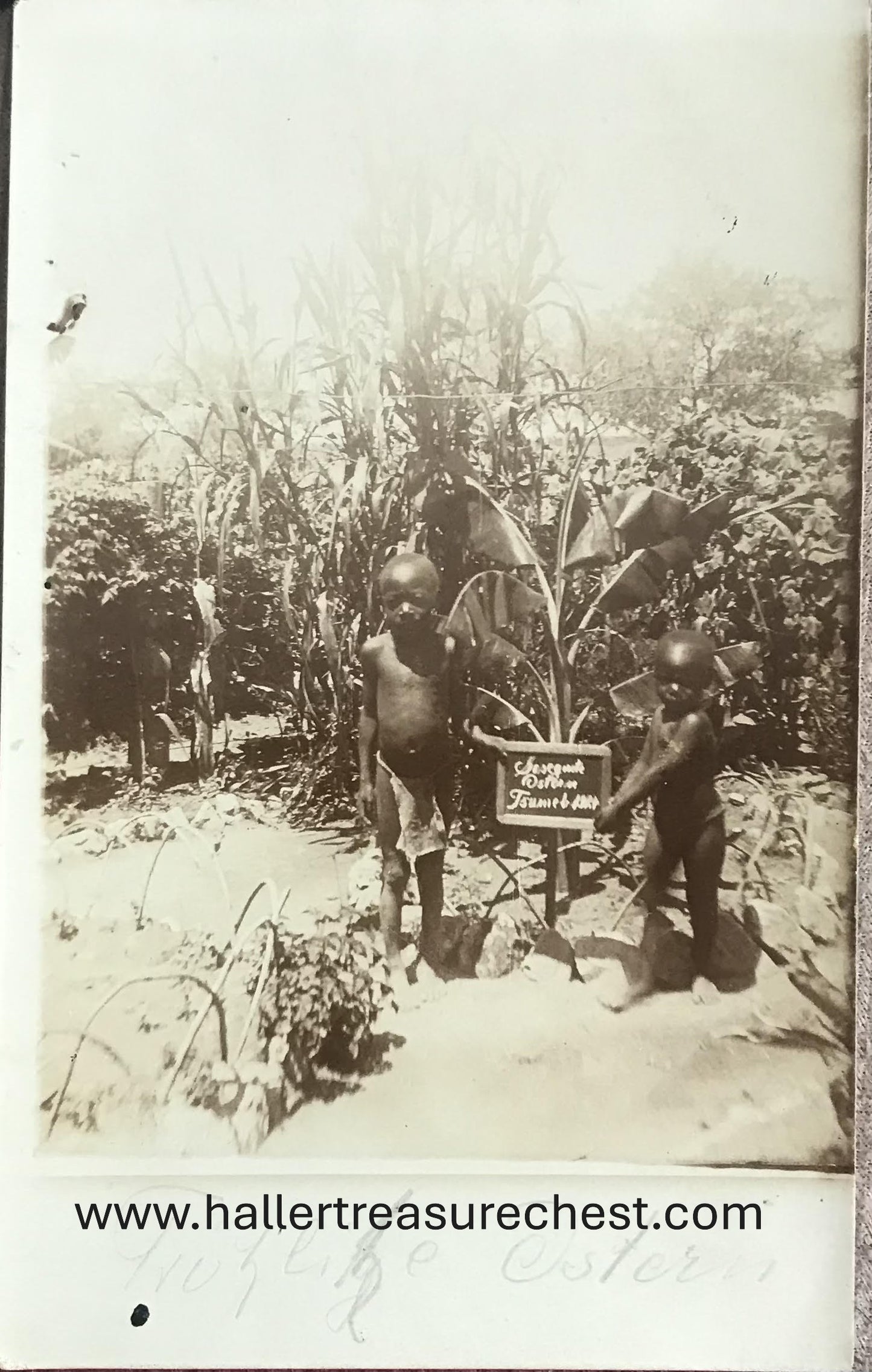 PC Tribes 15.5. SWA Postkarte - Frohe Ostern 1924 Owamboland / SWA post card - Happy Easter 1924 Owamboland