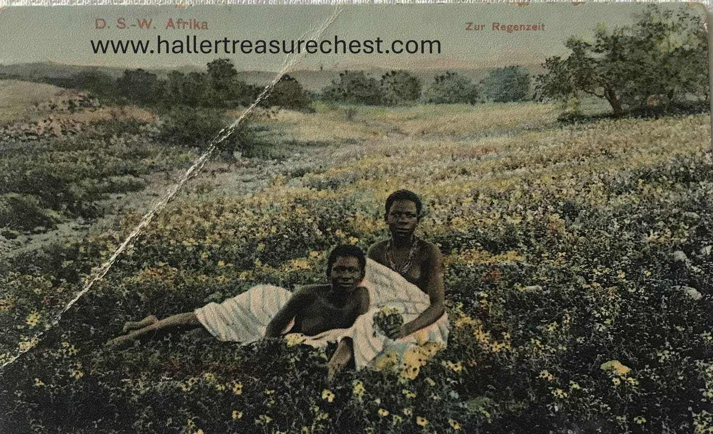 PC Tribes 15.7. DSWA Postkarte - Posierende Owambofrauen im Blumenfeld / GSWA post card - posing Owambo women in a flower field