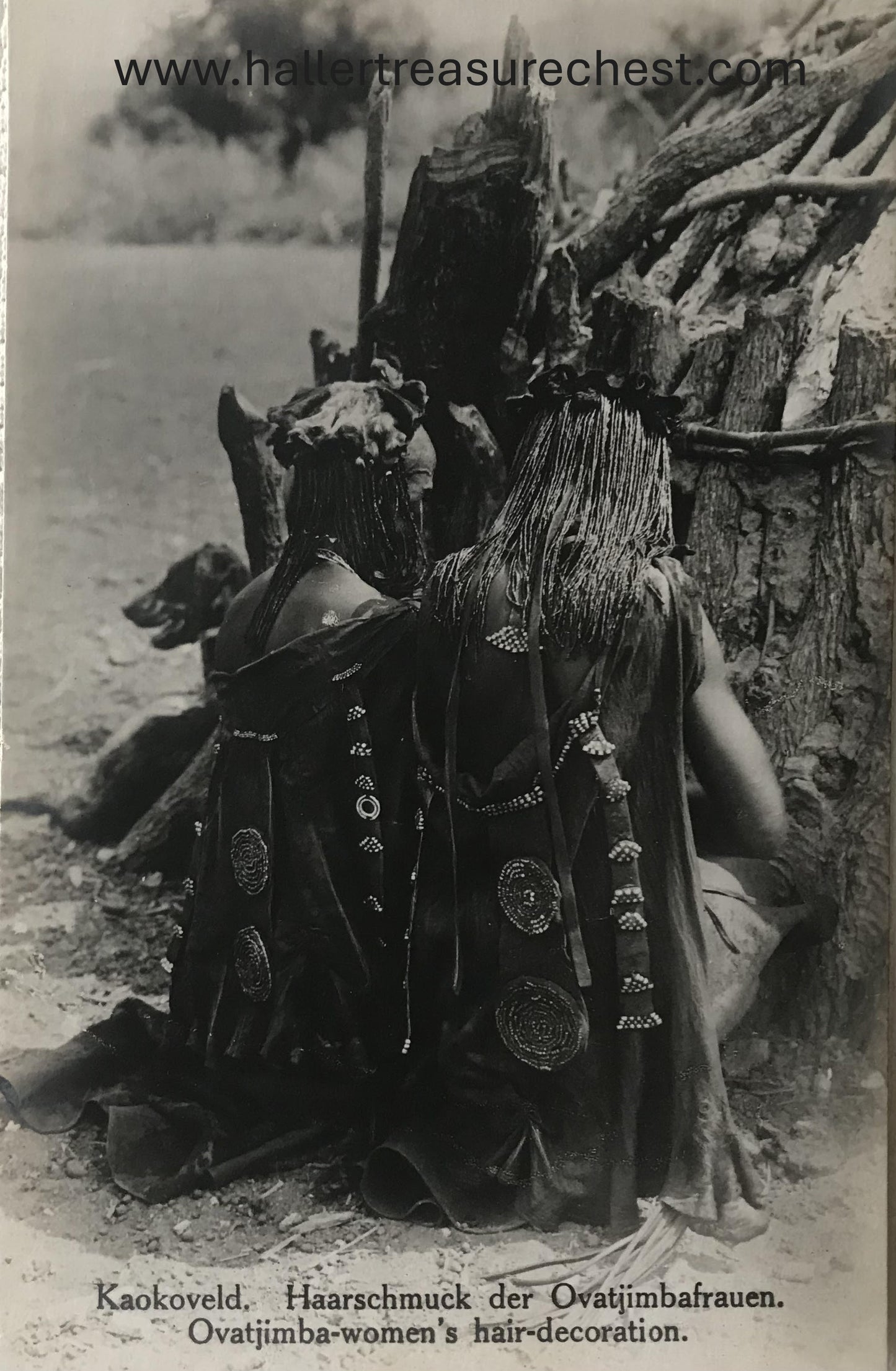 PC Tribes 16.4. DSWA Postkarte - Ovatjimbafrauen mit Haarschmuck / GSWA post card - Ovatjimba women with hair ornaments