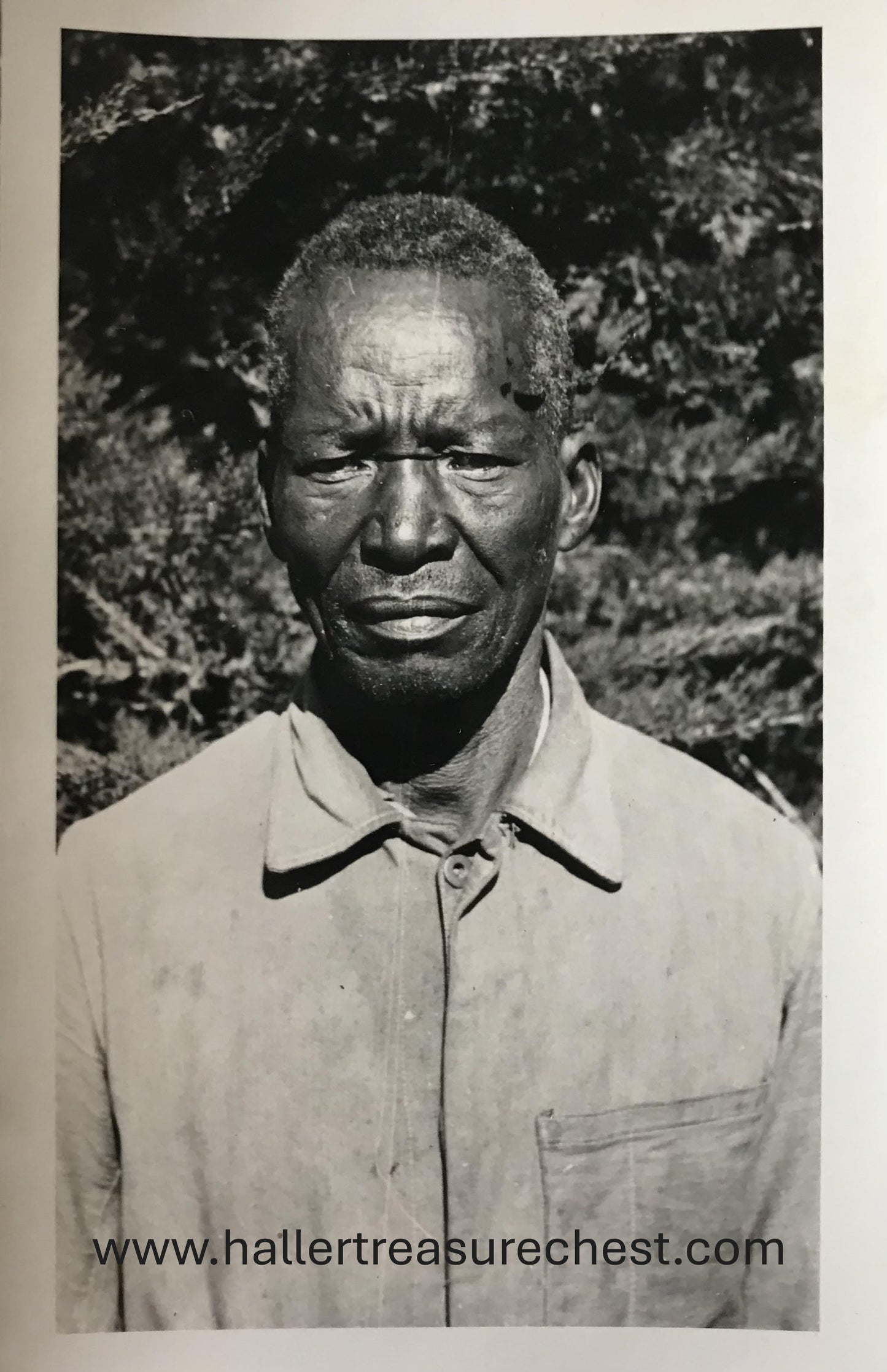 PC Tribes 4.3. SWA Foto - Hereromann / SWA photo - Herero man