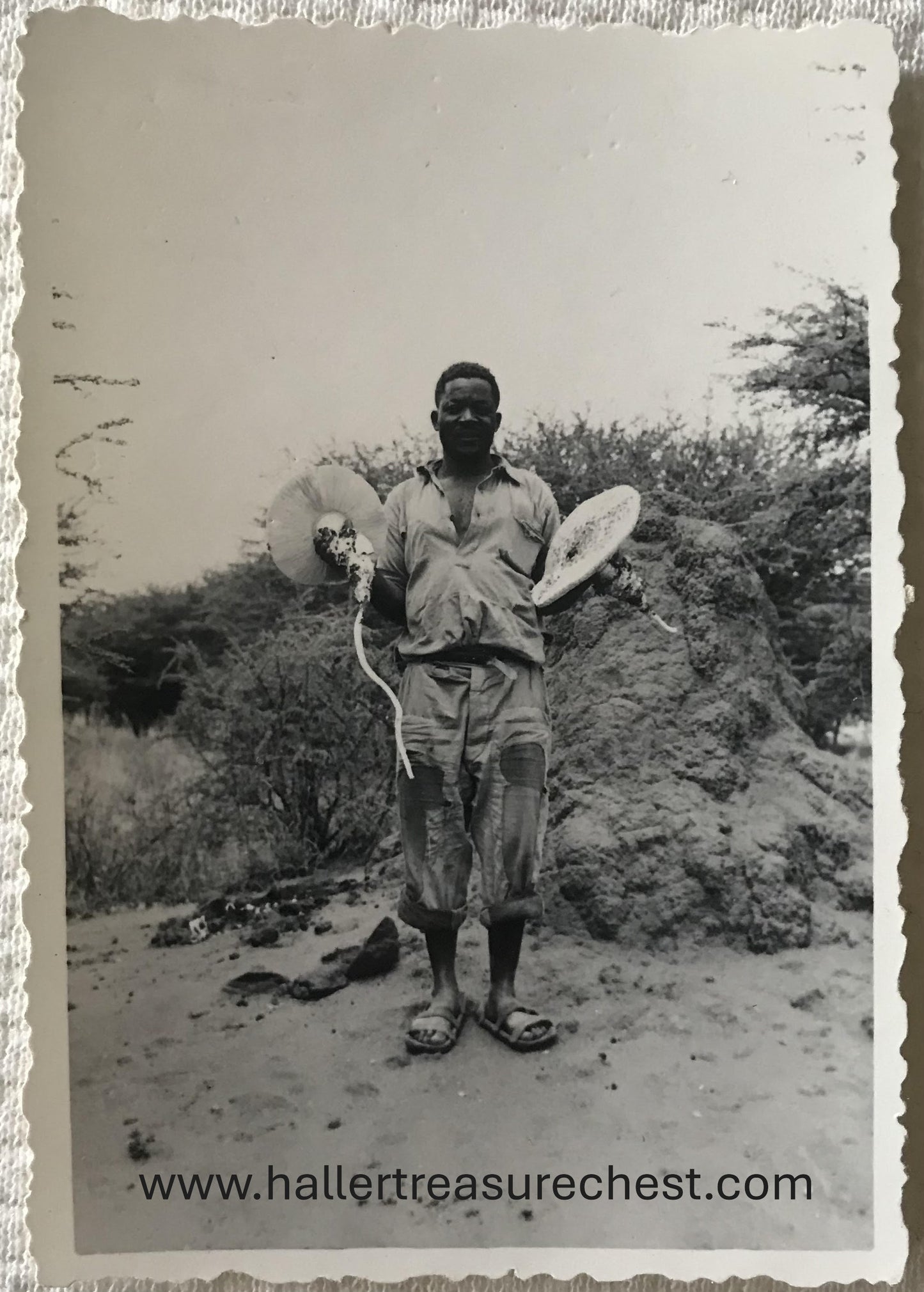 PC Tribes 6.8. SWA Foto - Mann hält Termitenpilze / SWA photo - man holds Termite mushrooms