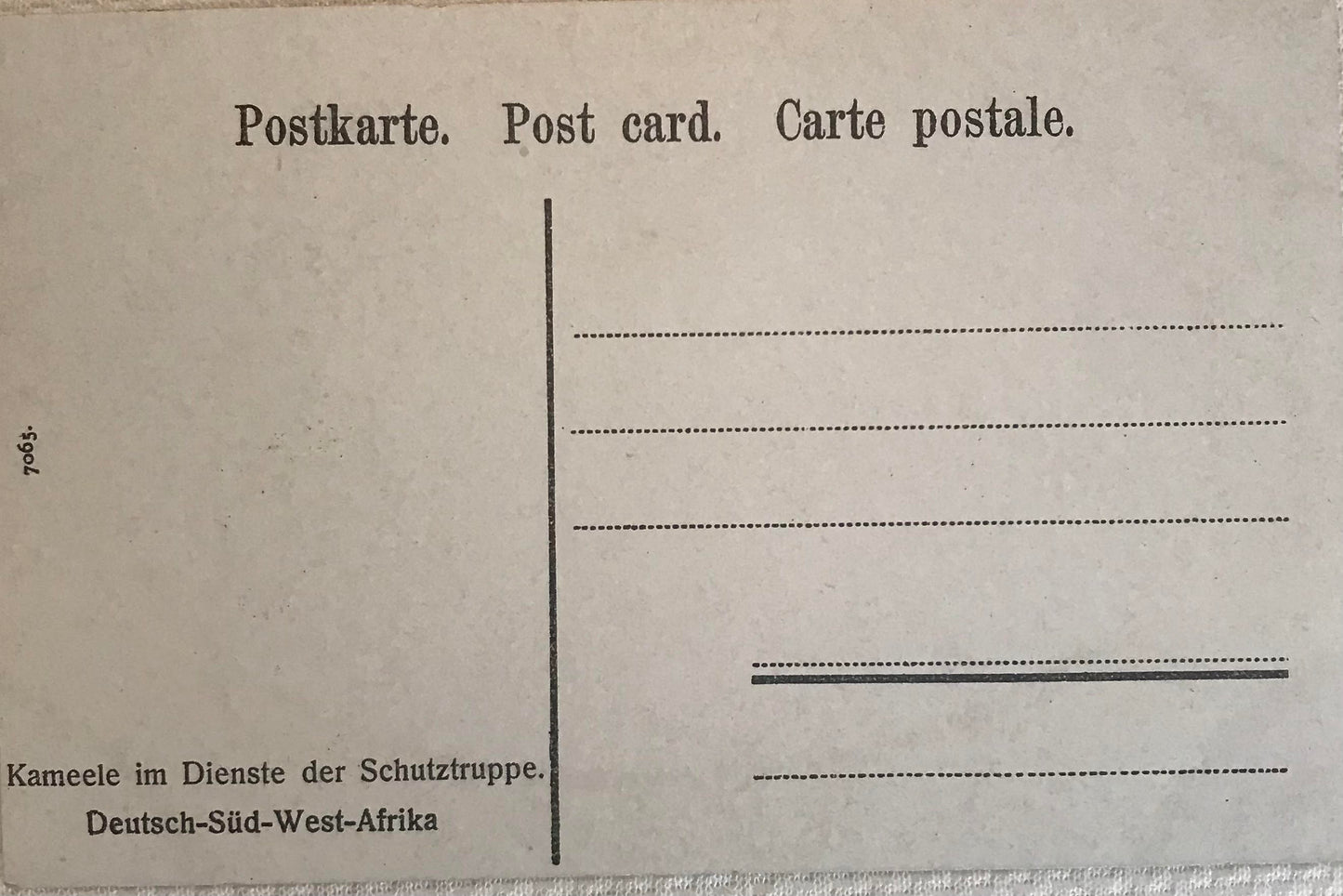 PC STR 1.5 GSWA postcard of camels riders of the Schutztruppe / DSWA Postkarte der Kamelreiter der Schutztruppe