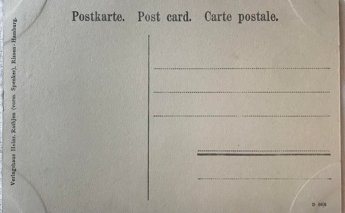 PC STR 13.7. DSWA Postkarte - Schutztruppen Beobachtungsposten in der Baumspitze / DSWA postcard - Schutztruppen observation post in the tree top