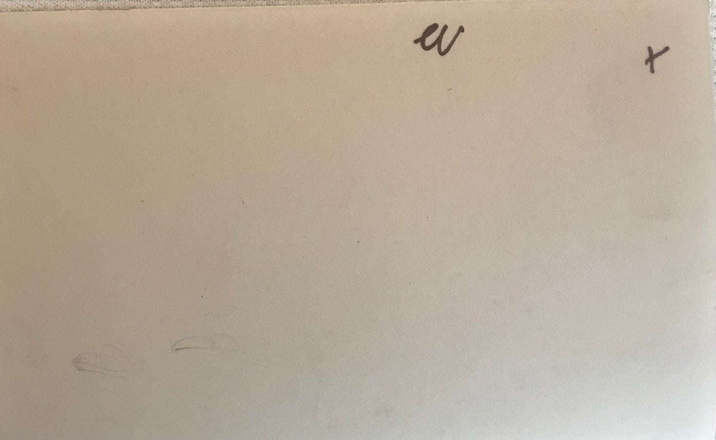 PC STR 3.7. DSWA Foto eines Schutztruppenreiter mit Maultier / DSWA Photo of a protection trooper with a mule