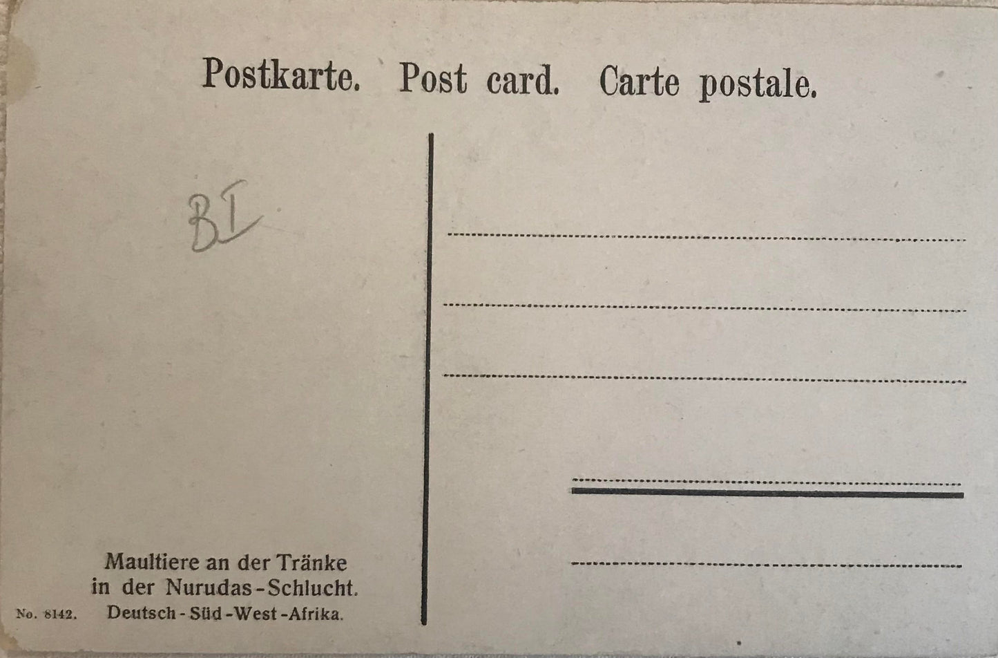 PC STR 8.4. DSWA Postkarte - Maultiere - Nurudas Schlucht / GSWA Postcard - Mules at the drinking trough