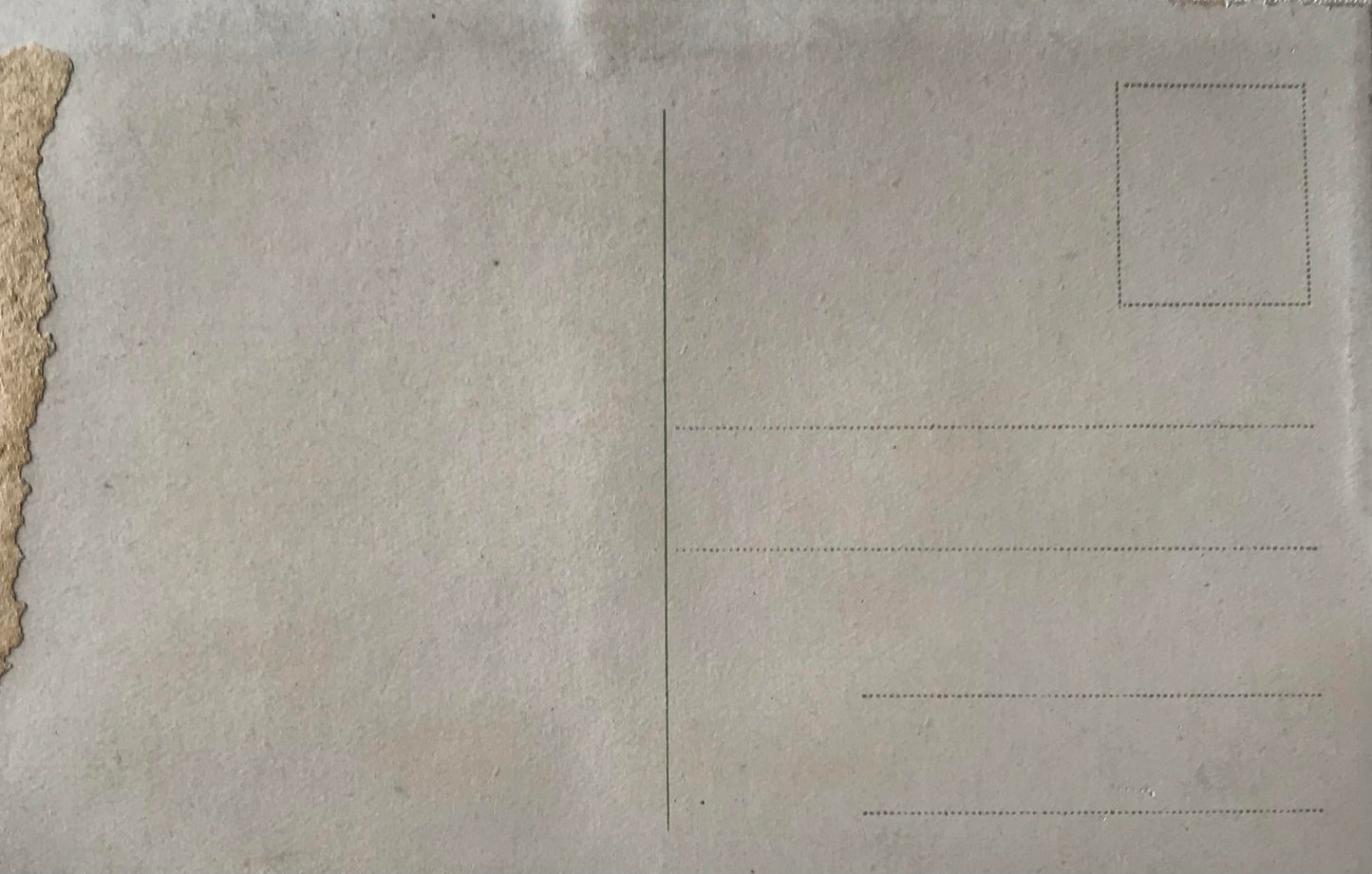 PC Tribes 13.7. DSWA Postkarte - alte Buschmanns Frau / GSWA postcard - old Bushmen woman