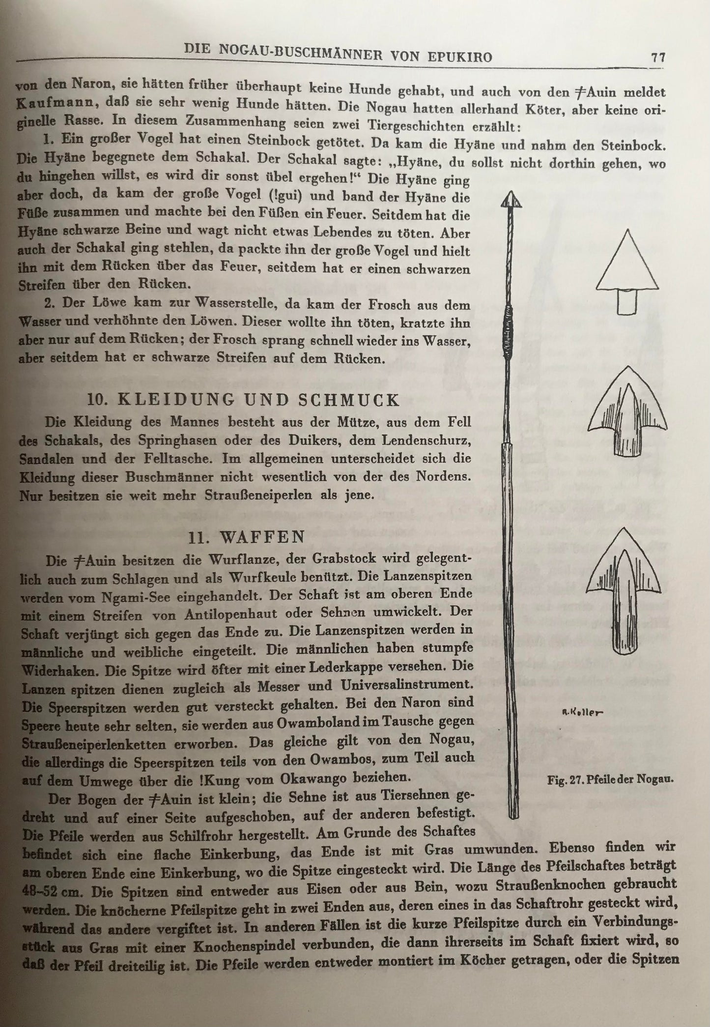 Book 0011 Leder - Eingeborenenkulturen von Südwestafrika - Die Buschmänner - Viktor Lebzelter 1934, Luxusausführung, Nachdruck Nr 0001 von 2000, Erstauflage, Peter's Antiques 1996