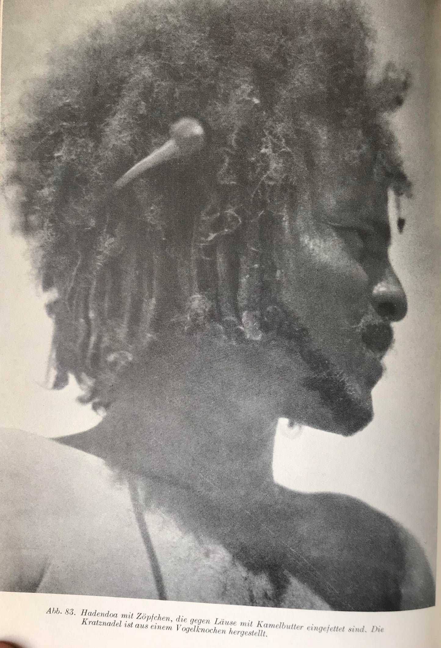 Book 2.17. Sudan, Afrika - Jagd am blauen Nil - Typen und Tiere in Sudan, 1953 / Hunt at the blue Nile