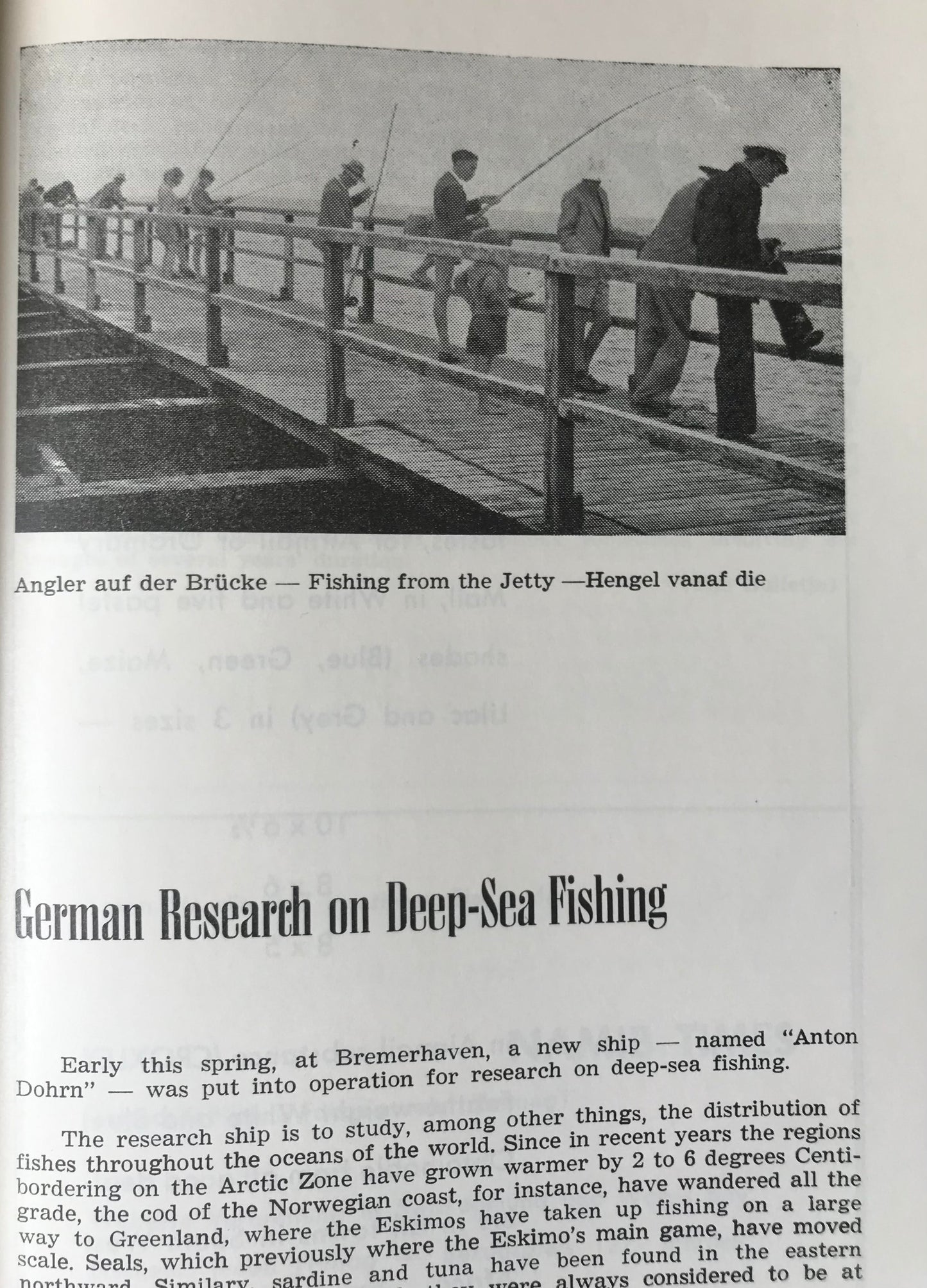 Book 2.20. SWA - Swakopmund 1959/60 - dreisprachiges Jahrbuch / Trilingual yearbook
