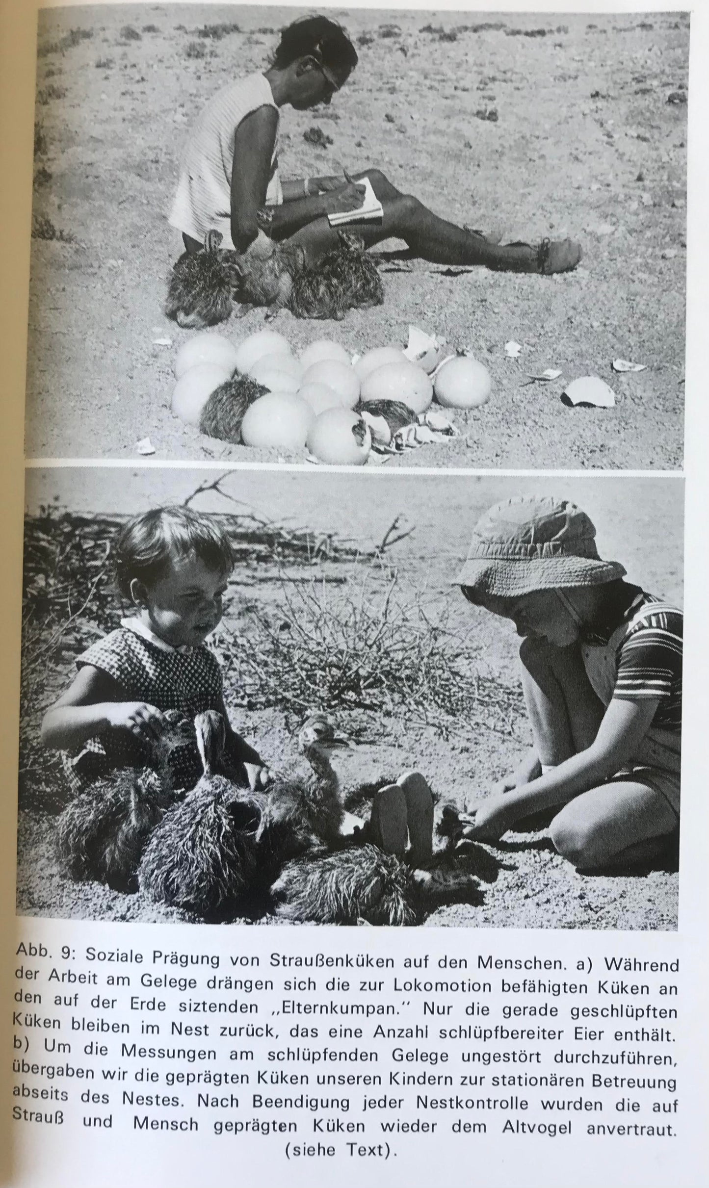 Book 2.22. SWA - Namib und Meer - Deutschsprachiges Swakopmunder Jahrbuch - Oktober 1970 / Namib and Ocean