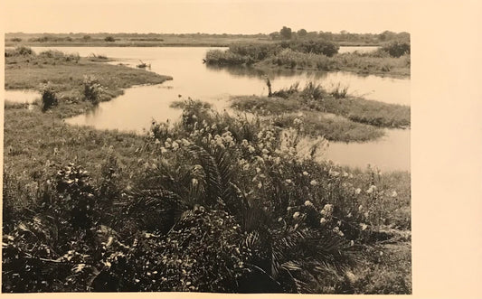 PC0029 - SWA - Photo of Kavango river / SWA - Foto vom Kavangofluss