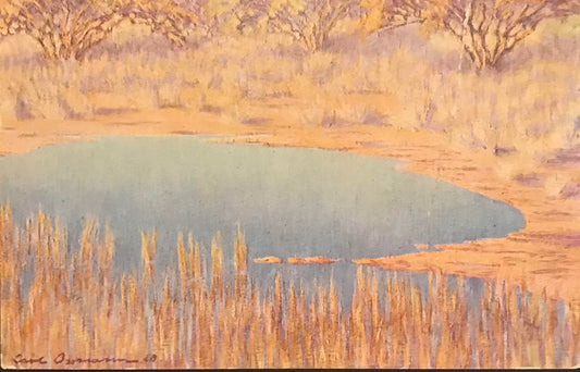 PC0037 - SWA landscapes -  Carl Ossmann / SWA Landschaften - Carl Ossmann (1883-1935)