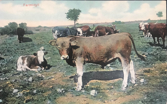 PC0112b - GSWA Farmidyll - cows on a farm - F.Nink collection - Nr 38 / DSWA Farmidylle - Kühe auf der Farm