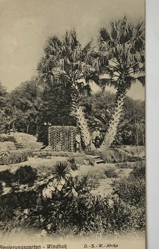PC0153 - DSWA - Regierungsgarten - Windhuk - 1909 / GSWA - Government Garden - Windhoek, - 1909, J.C.Hubrich collection