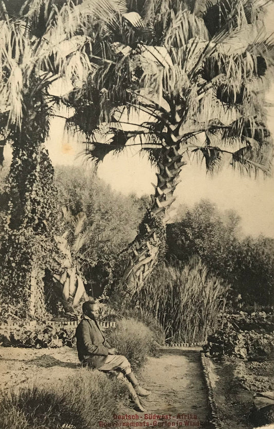 PC0156 - DSWA - Governmentsgarten, Windhuk, Dez 1907 /  GSWA - Governmentsgarden, Windhoek, Dec1907