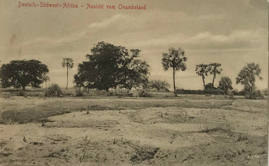 PC0161 -  DSWA Postkarte - Ansicht vom Owamboland / GSWA postcard - view from Owamboland 1907